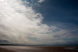 DSC_2238001.jpg