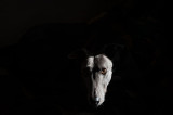 23rd October 2018 patient