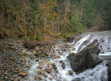 Englishman River Falls - Vancouver Island, British Columbia