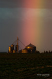 paysage_landscape
