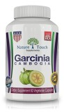  Garcinia Cambogia