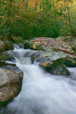 IMG_6836.JPG
