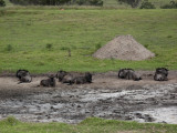 Kragga Kamma Game Park ~ Port Elizabeth