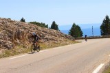 2017083309 Cyclists Mont Ventoux.jpg