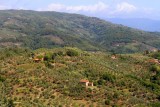 2017095258 Tuscan Hills Montecatini.jpg