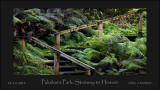 Pukekura Park - New Plymouth