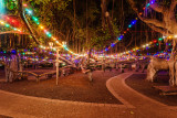 Lahaina_Banyan_Tree_50495.jpg