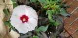 20180820_103054.jpg