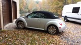Late Autumn
