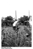 Hugo Hoffman June 9, 1942