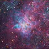 The Tarantula nebula - A close look