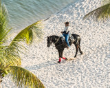 Ride on the Beach