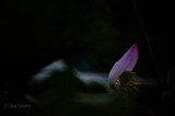 DSC_5709.jpg