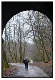 Le Ravel 