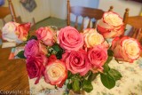 Moms Roses.jpg