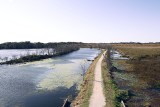 brazos from tower.jpg