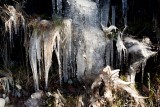 Ice on rock wall in Shenandoah Natl Park, Virginia