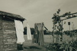 Drying Clothes The Old Way