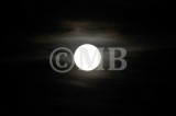 _MBF9678.jpg