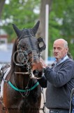 Koers 6. Felipe A2.jpg
