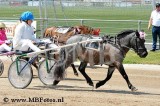 Minikoers 1. Madelief Metselaar met Meijerijs Puck1.jpg