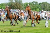 _MBF9766.jpg
