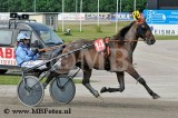 _MBF1690.jpg