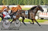 Koers 5. Classic Word1.jpg