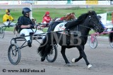 Minikoers. Noah Verburg met Dayton.jpg