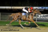 Koers 7. Elma Alki1.jpg