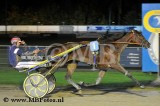 Koers 2. Giant Shadow.jpg