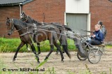_MBF0096.jpg