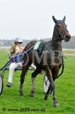 Koers 4. Gipsy Starlake2.jpg