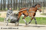 _MBF8866.jpg