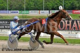 Koers 3. Fabio de Pervenche1.jpg