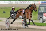 Koers 8. Tuxedo Bi1.jpg