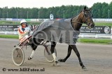 Koers 7. Secret Honey4.jpg