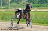 _MBF0937.jpg