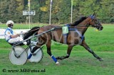 Koers 9. Cassari1.jpg