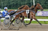 Koers 5. Helena1.jpg