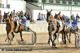 Koers 10. Shake Hands.jpg