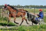 _MBF4104.jpg