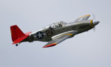 Davids Mustang, 0T8A1925.jpg