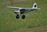 Alastairs new FMS Cub, 0T8A3537 (2).JPG