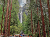 Yosemite Falls