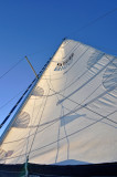 104 Barcolana - MRC@2017.jpg