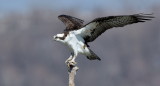 D50_2210.jpg