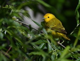 D50_3833.jpg