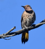 D50_3975.jpg