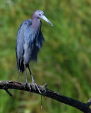 D50_4659.jpg